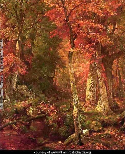 Forest Interior in Autumn