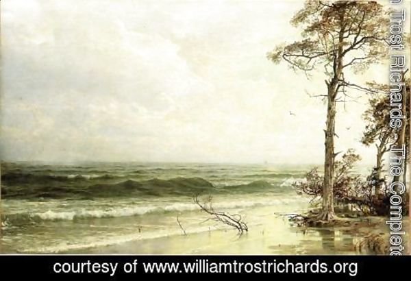 William Trost Richards - Cedars on the Shore Near Atlantic City