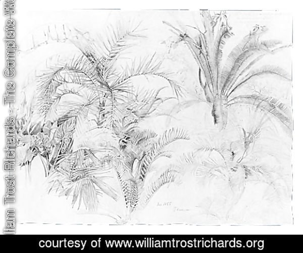 William Trost Richards - Palms