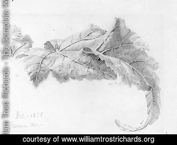 William Trost Richards - Leaves
